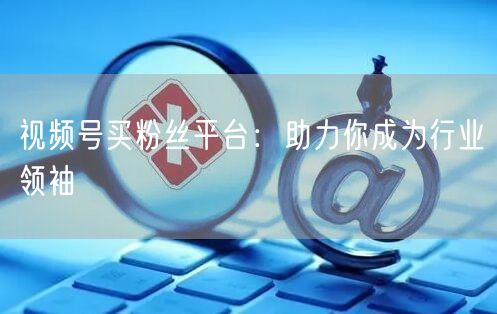 视频号买粉丝平台:助力你成为行业领袖